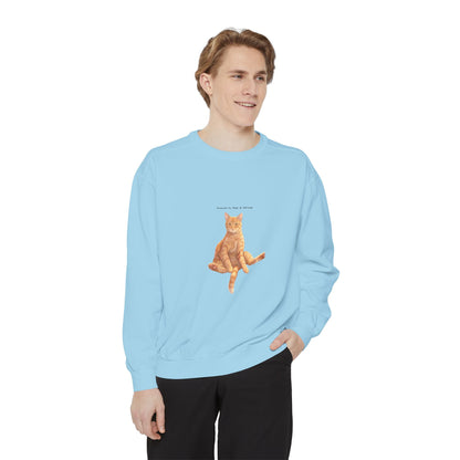 I Don't Do Mornings Cosy Ginger Cat Sweatshirt | Cat Lover Crewneck