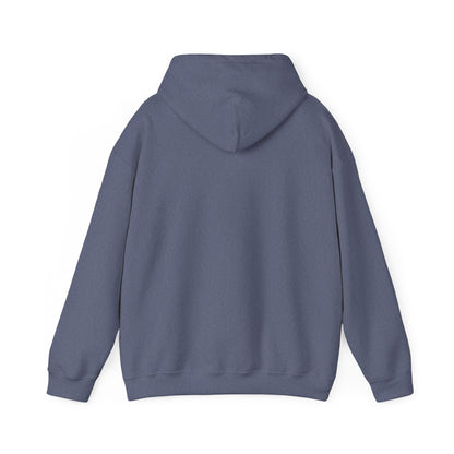 Cute Kitten in Sink Hoodie Whimsical Cat Pullover | Cat Lover Gift | Unisex