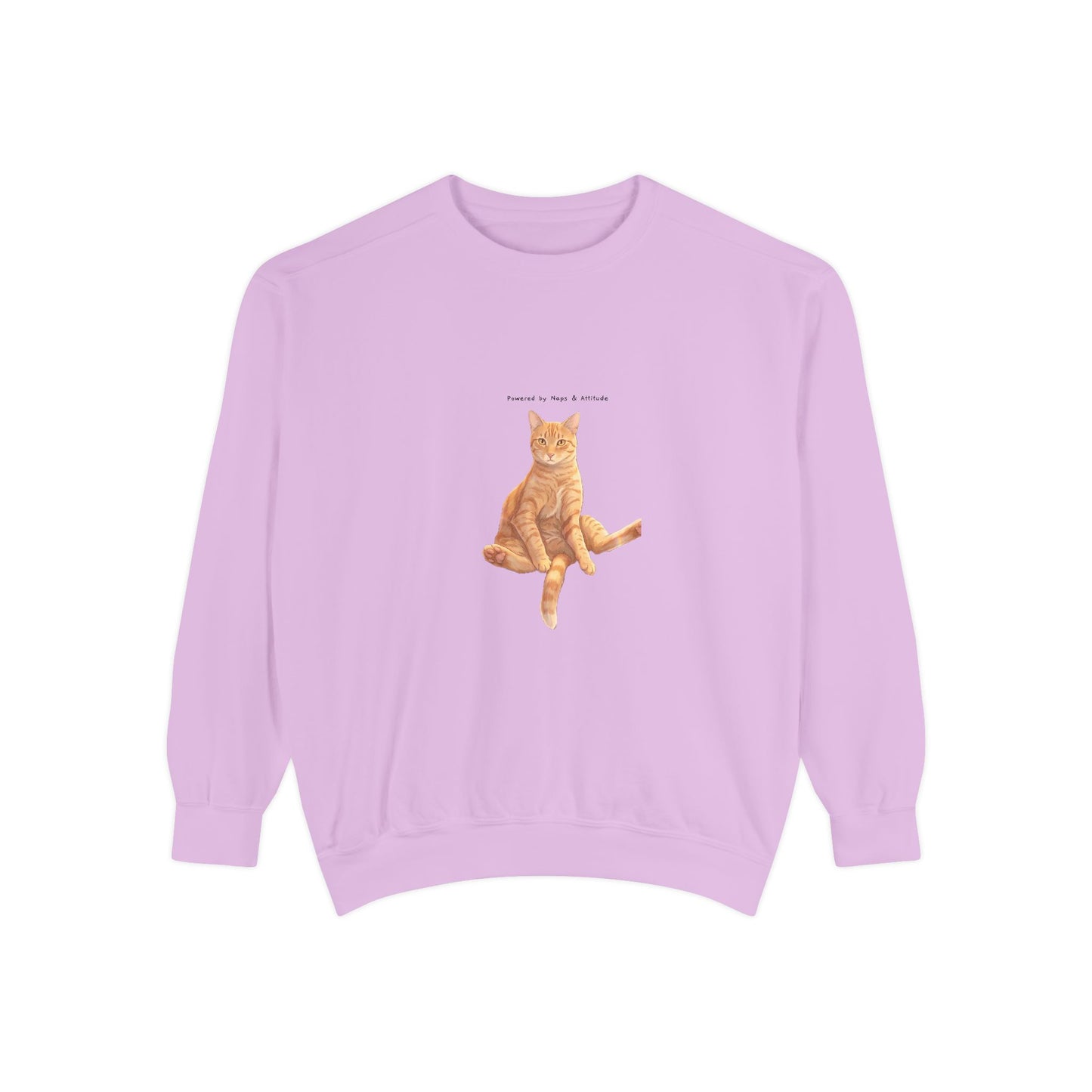 I Don't Do Mornings Cosy Ginger Cat Sweatshirt | Cat Lover Crewneck